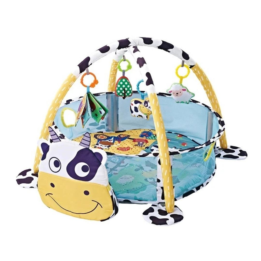 Interactive Baby Play Area – Gentle Awakening!